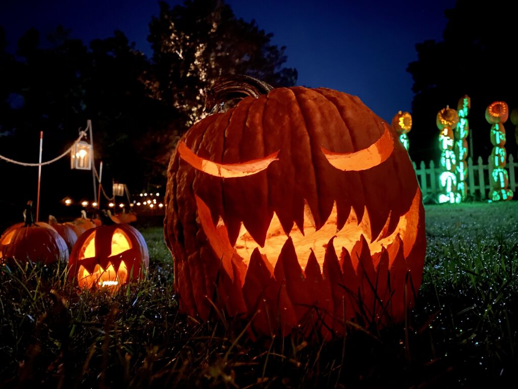 Illuminated jack o'lanterns at Pumpkin Blaze.