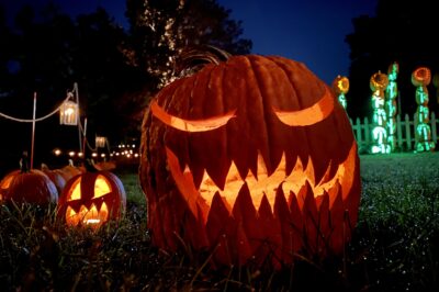 Illuminated jack o'lanterns at Pumpkin Blaze.