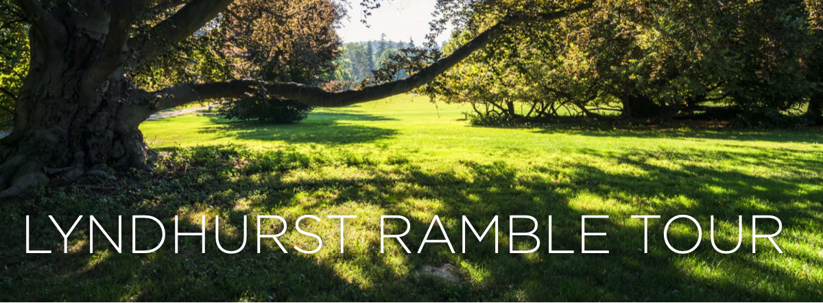 A promotional image for Lyndhurst Ramble Tour shows a tree silhouetted against a sunny lawn.