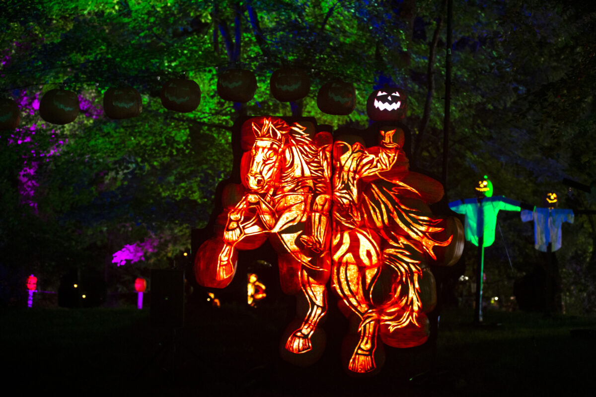 This is a view of the 2022 Great Jack O'Lantern Blaze at Van Cortlandt Manor in Corton-on-Hudson, N.Y. on September 14, 2022.