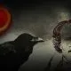 A montage promoting An Audience with Poe at Historic Hudson Valley in Sleepy Hollow, New York.