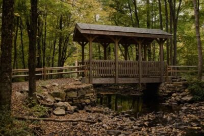Ward Pound Ridge Reservation