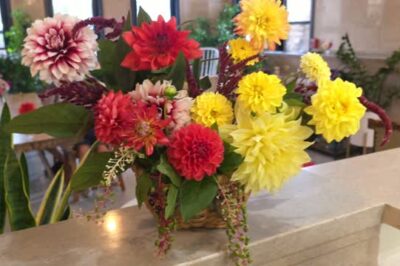 Dahlia's Song Cafe and Florist